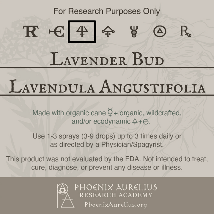 Lavender-Bud-Spagyric-Essence-per-Destillatio-Incomplete-aurelian-spagyria