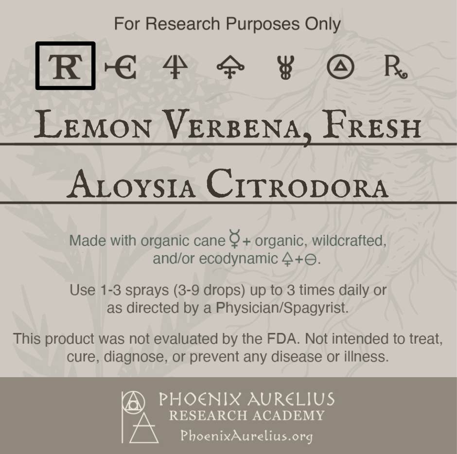 Lemon-Verbena-Fresh-Spagyric-Tincture-aurelian-spagyria