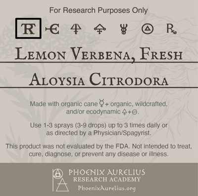 Lemon-Verbena-Fresh-Spagyric-Tincture-aurelian-spagyria