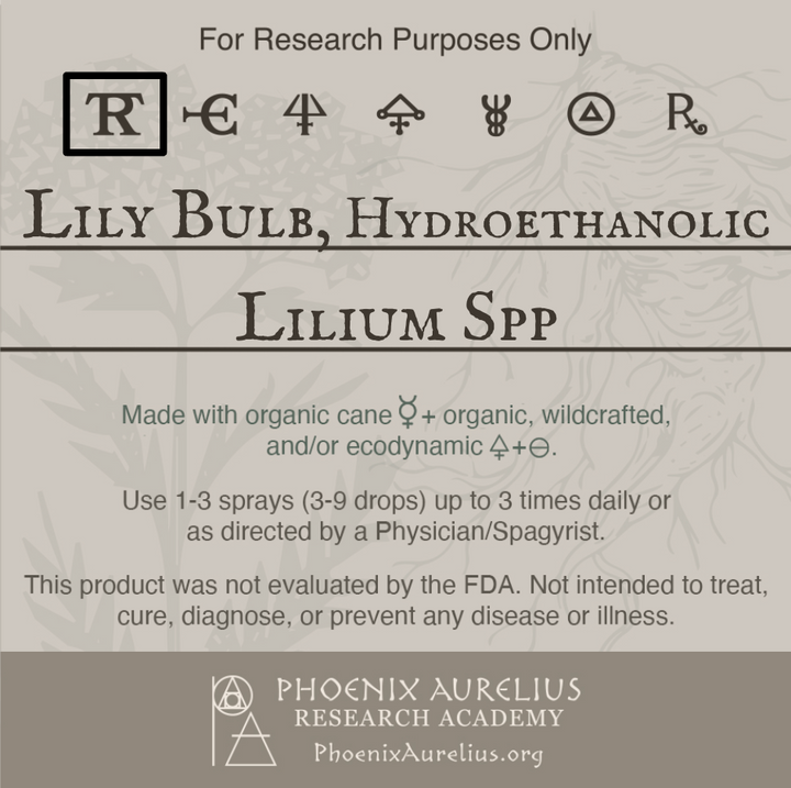 Lily-Bulb-Hydroethanolic-Spagyric-Tincture-aurelian-spagyria