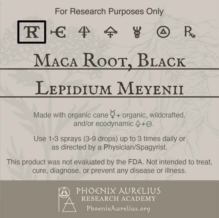 Maca-Root-Black-Spagyric-Tincture-aurelian-spagyria