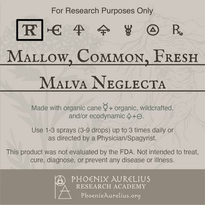 Mallow-Common-Fresh-Spagyric-Tincture-aurelian-spagyria