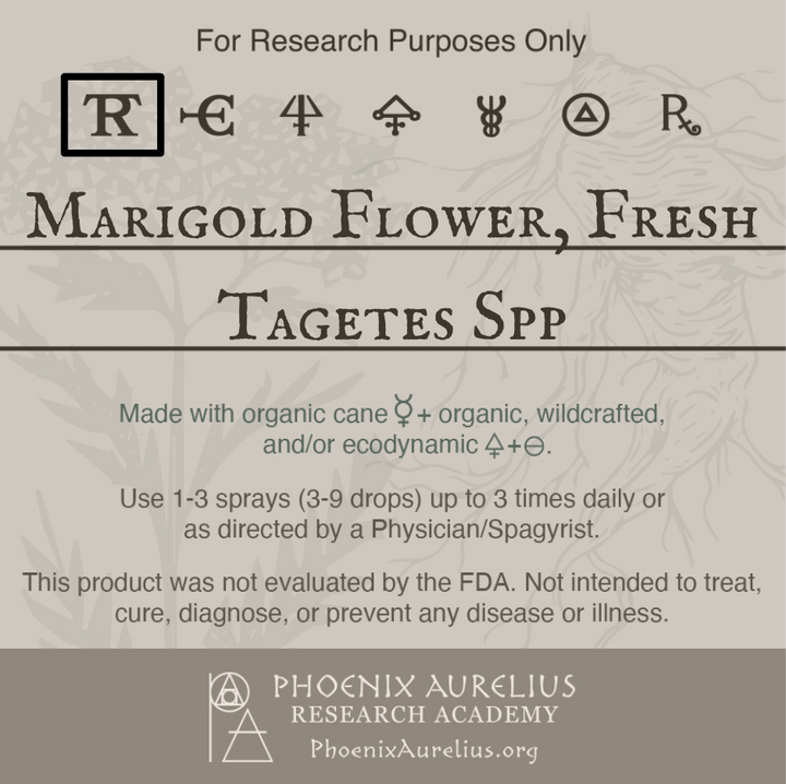 Marigold-Flower-Fresh-Spagyric-Tincture-aurelian-spagyria