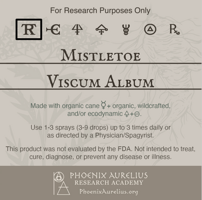 Mistletoe-Spagyric-Tincture-aurelian-spagyria