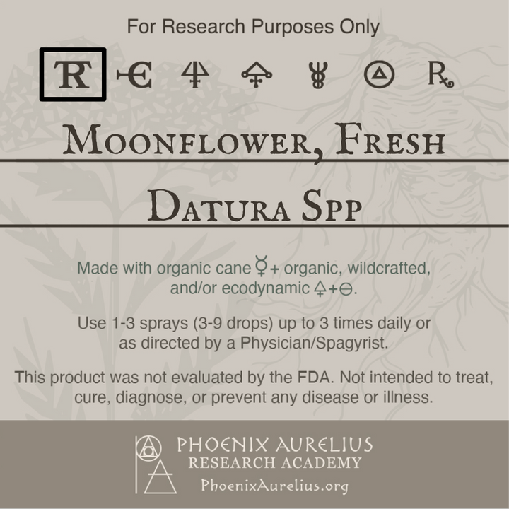 Moonflower-Spagyric-Tincture-aurelian-spagyria