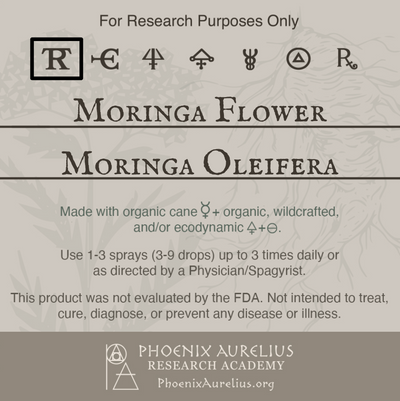 Moringa-Flower-Spagyric-Tincture-aurelian-spagyria