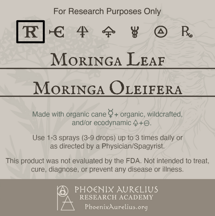 Moringa-Leaf-Spagyric-Tincture-aurelian-spagyria