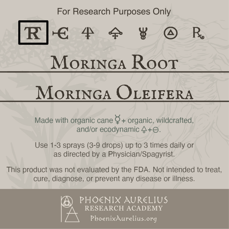 Moringa-Root-Spagyric-Tincture-aurelian-spagyria
