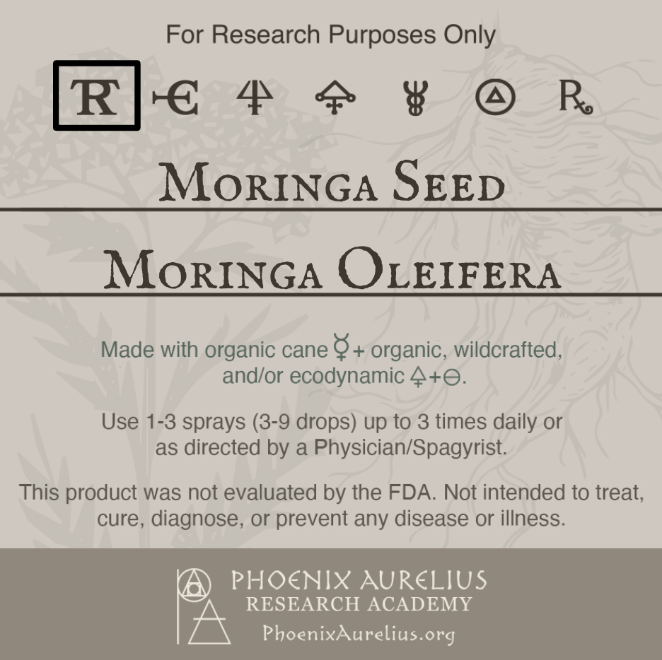 Moringa-Seed-Spagyric-Tincture-aurelian-spagyria