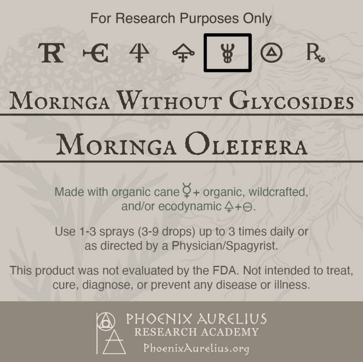 Moringa-without-Glycosides-Spagyric-Clyssus-aurelian-spagyria