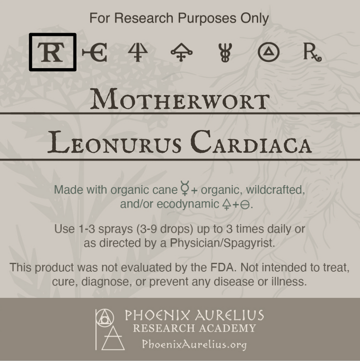 Blowout: Motherwort Hydroethanolic Spagyric Extract