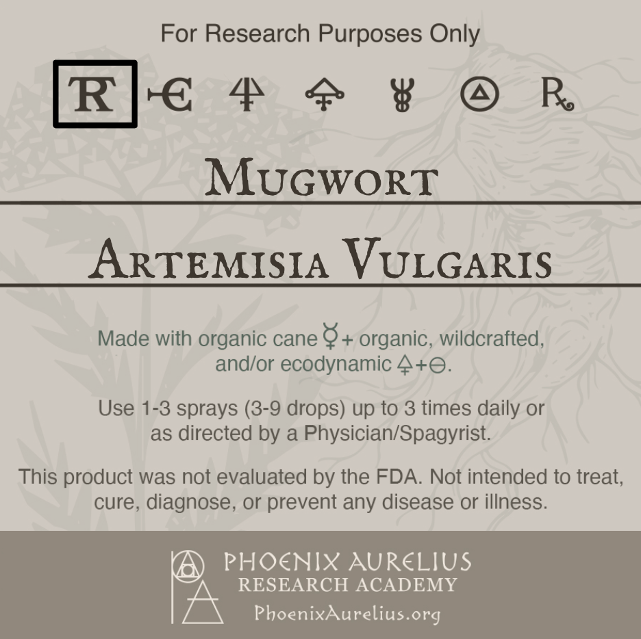 Mugwort-Spagyric-Tincture-aurelian-spagyria