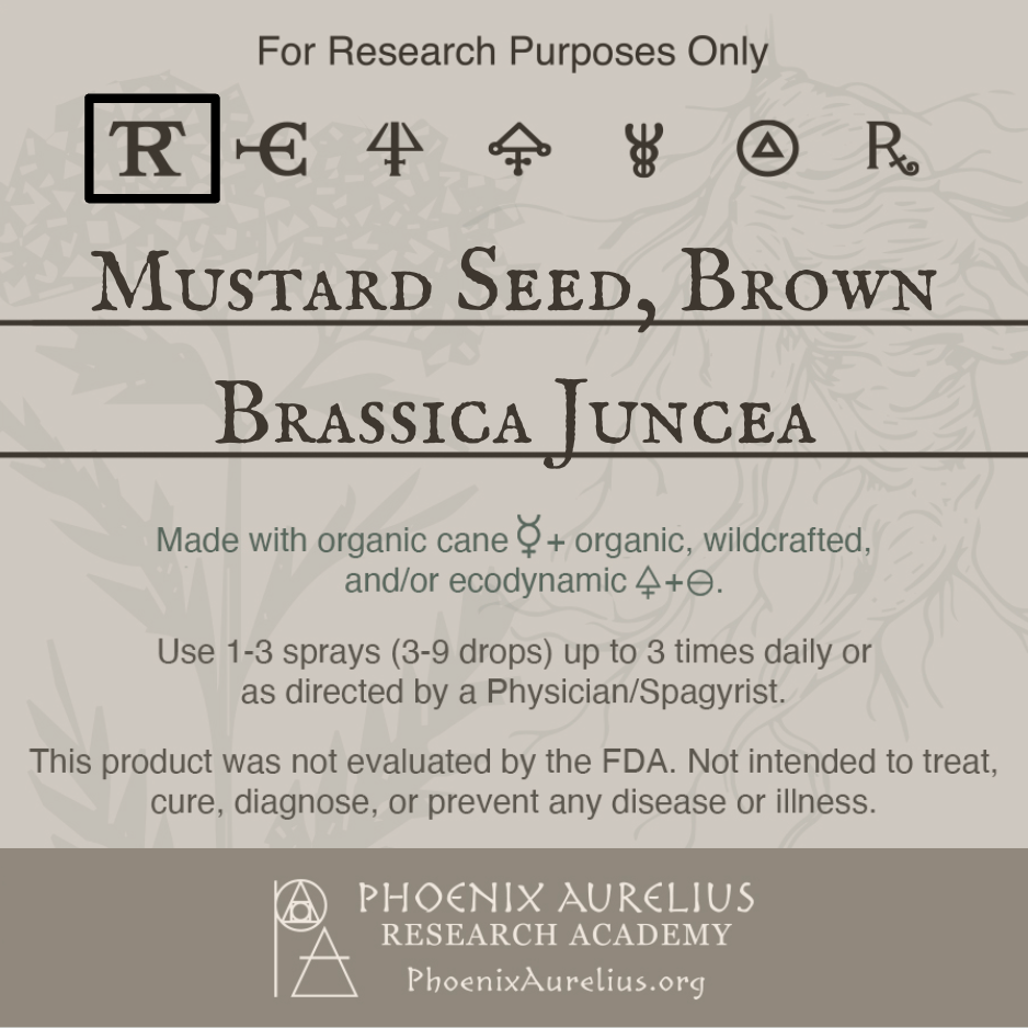 Mustard-Seed-Brown-Spagyric-Tincture-aurelian-spagyria