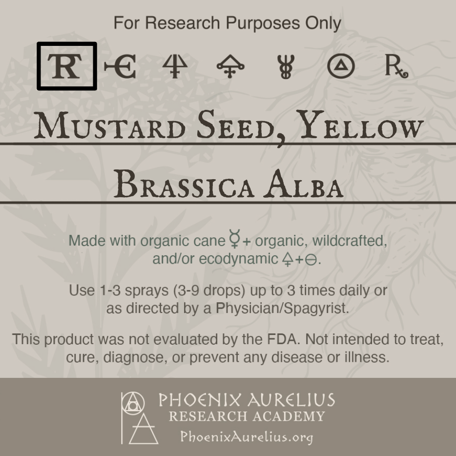 Mustard-Seed-Yellow-Spagyric-Tincture-aurelian-spagyria