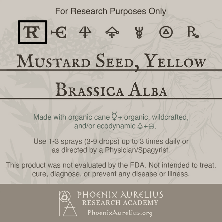 Mustard-Seed-Yellow-Spagyric-Tincture-aurelian-spagyria