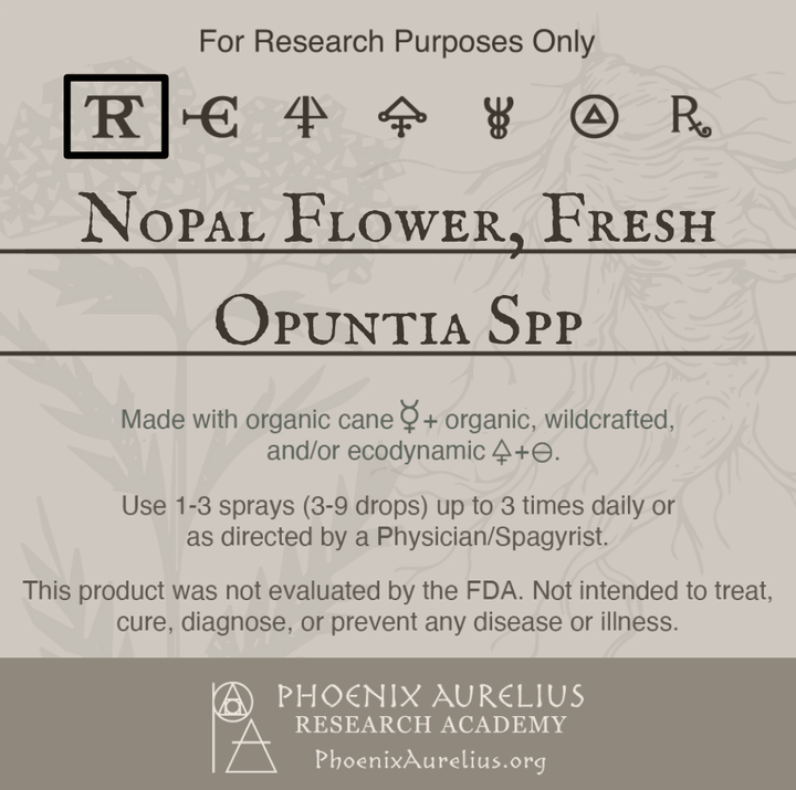 Nopal-Flower-Fresh-Spagyric-Tincture-aurelian-spagyria