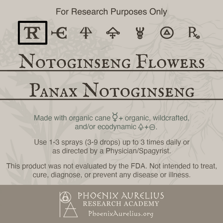 Notoginseng-Flowers-Spagyric-Tincture-aurelian-spagyria