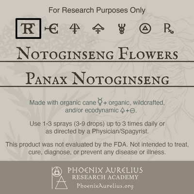 Notoginseng-Flowers-Spagyric-Tincture-aurelian-spagyria