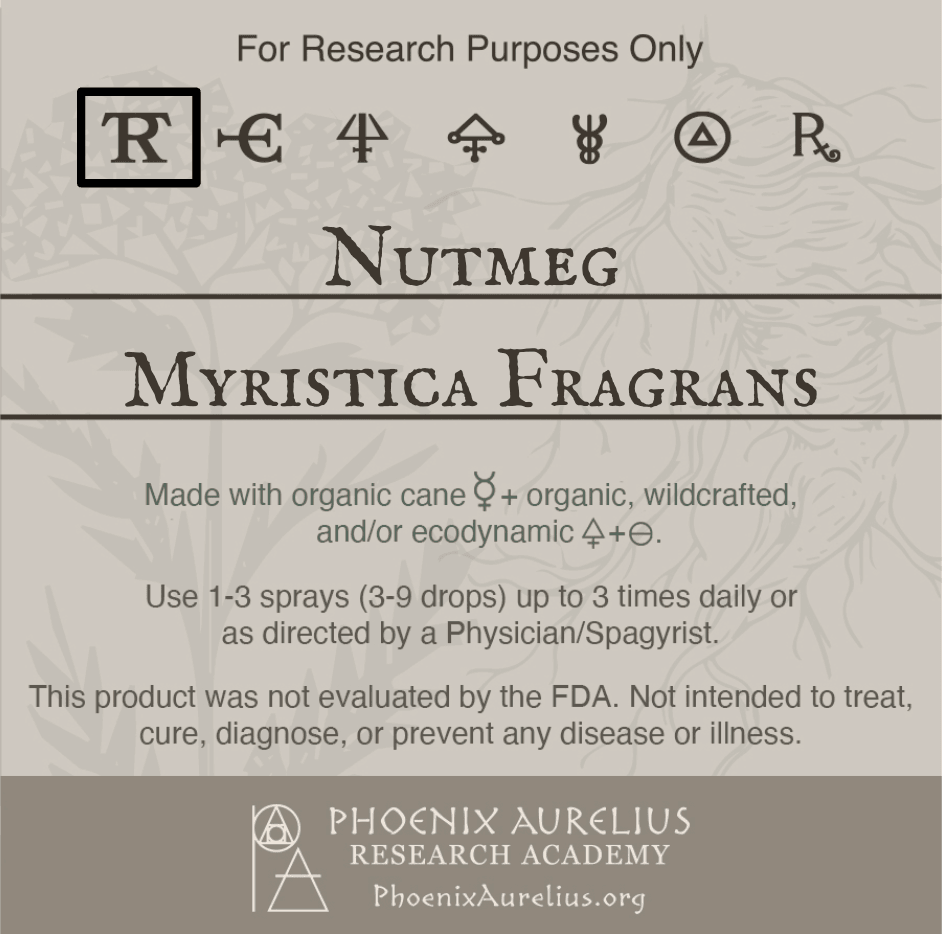 Nutmeg-Spagyric-Tincture-aurelian-spagyria