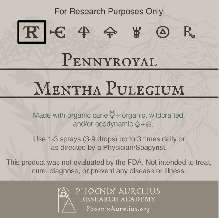 Pennyroyal-Spagyric-Tincture-aurelian-spagyria