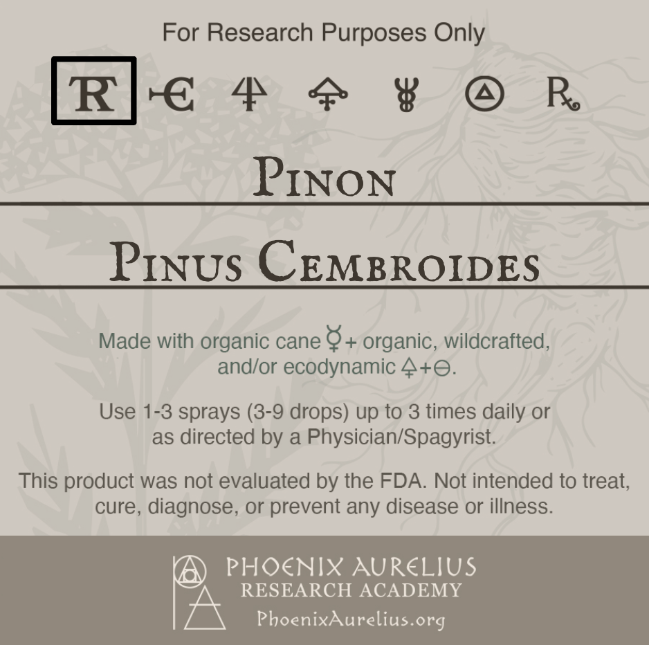 Pinon-Spagyric-Tincture-aurelian-spagyria