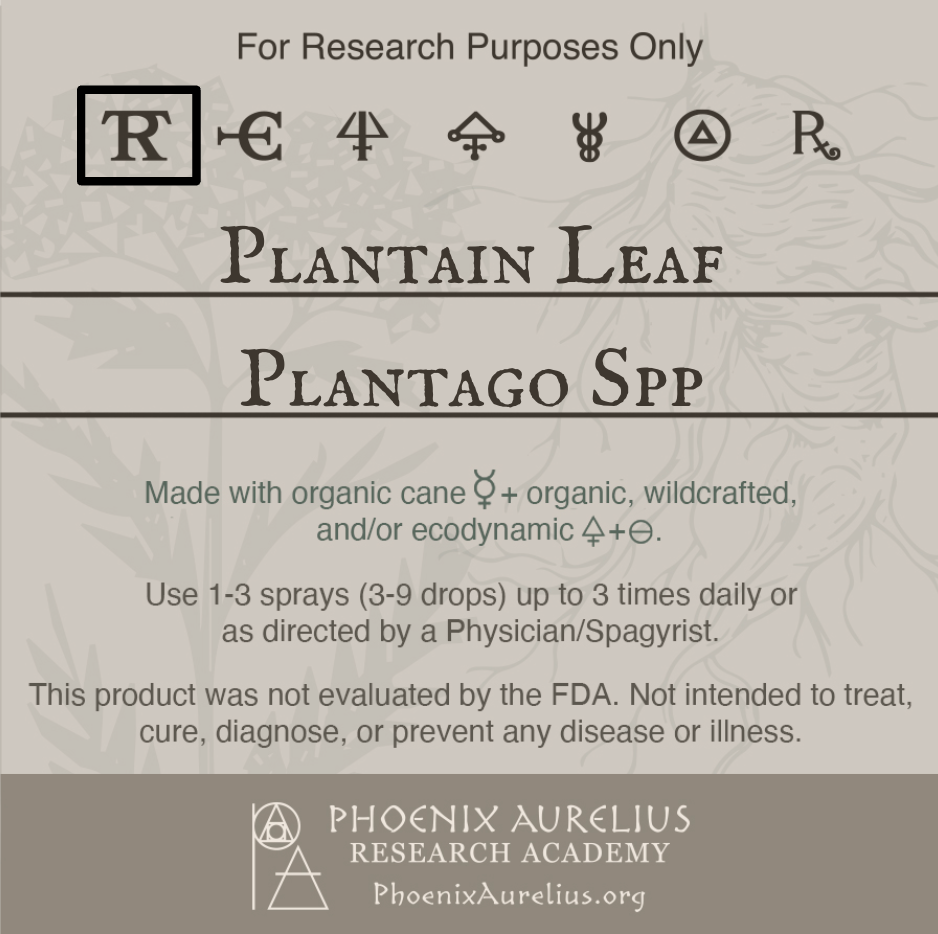 Plantain-Leaf-Spagyric-Tincture-aurelian-spagyria