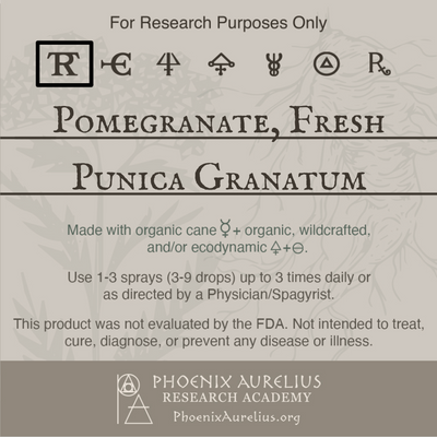 Pomegranate-Fresh-Spagyric-Tincture-aurelian-spagyria