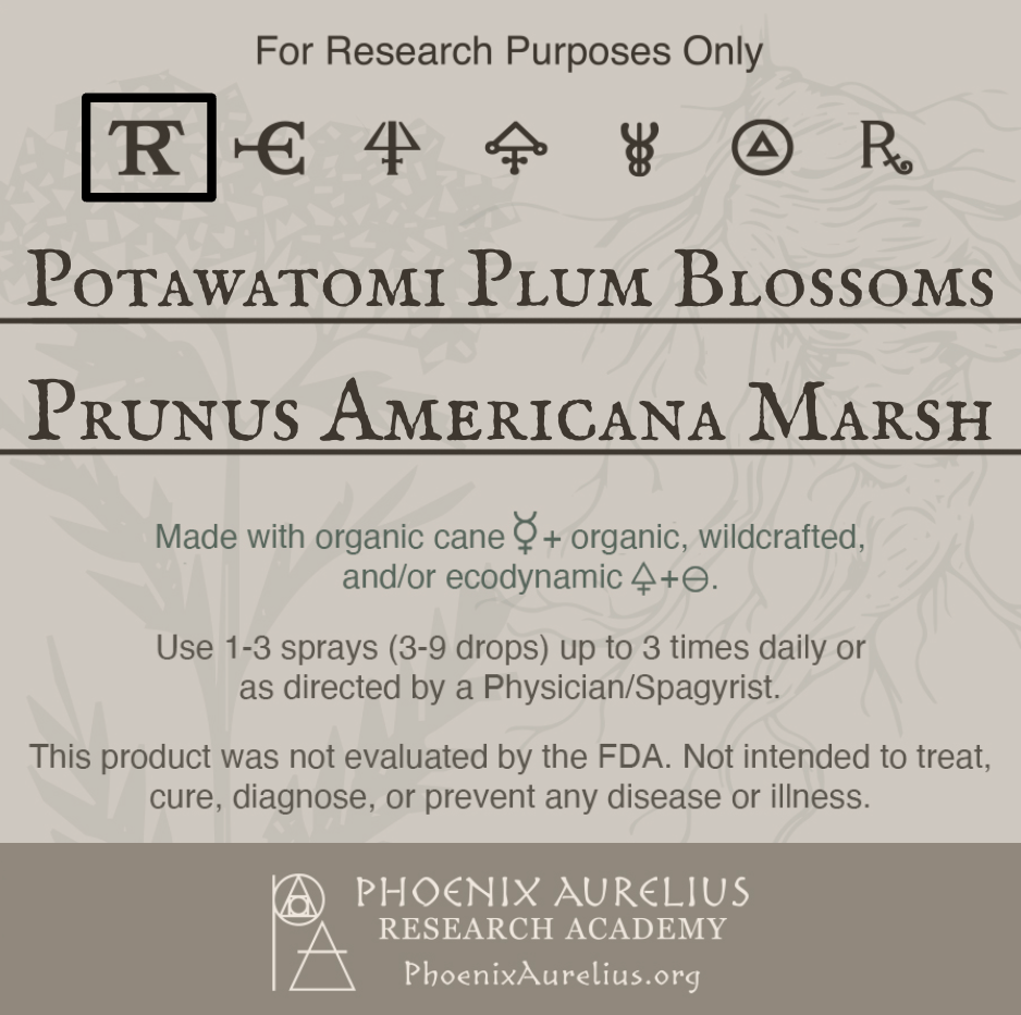 Potawatomi-Plum-Blossoms-Spagyric-Tincture-aurelian-spagyria