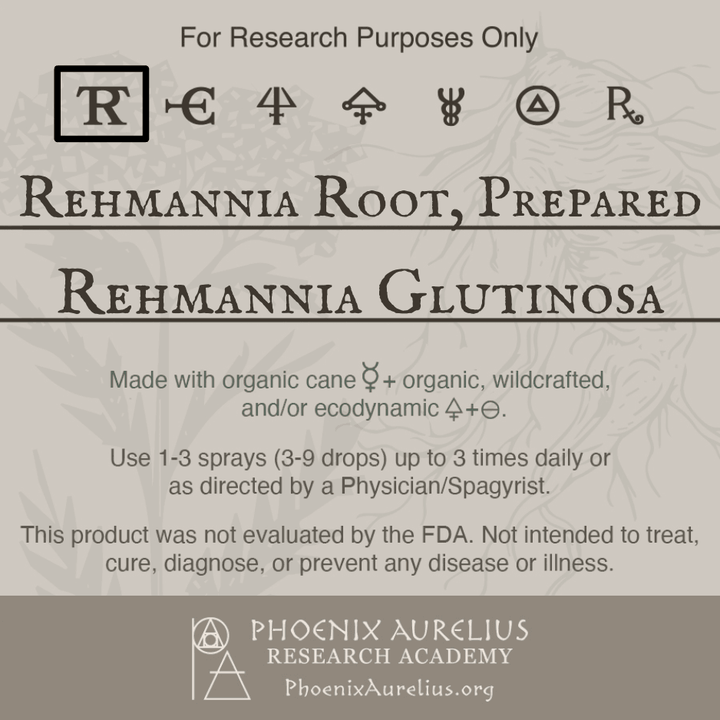 Rehmannia-Root-Prepared-Spagyric-Tincture-aurelian-spagyria