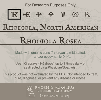 Rhodiola-North-American-Spagyric-Tincture-aurelian-spagyria