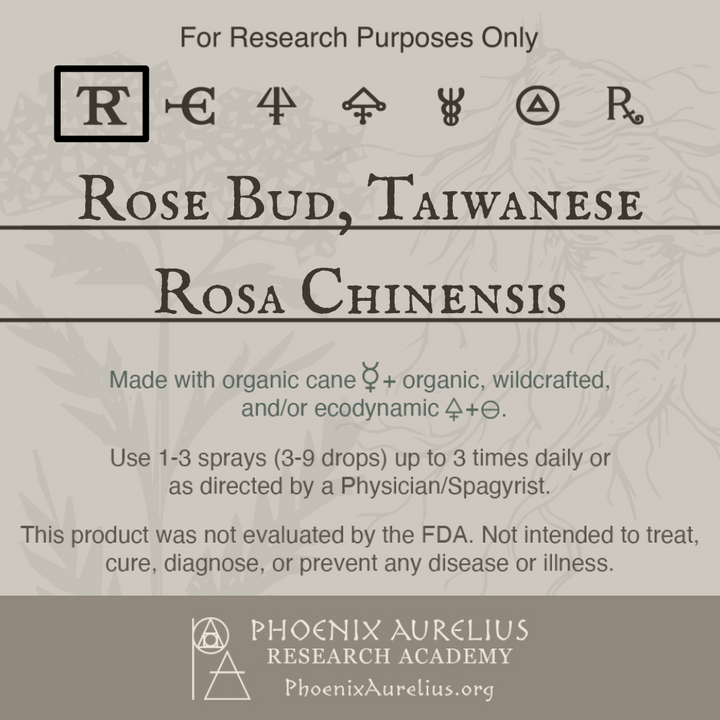 Rose-Bud-Taiwanese-Spagyric-Tincture-aurelian-spagyria