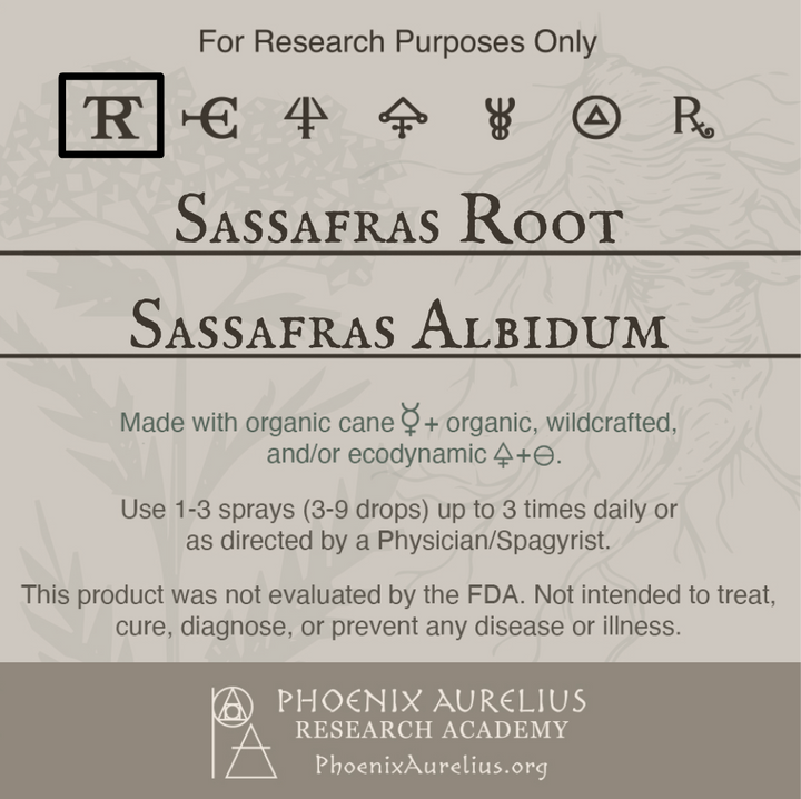 Sassafras-Root-Spagyric-Tincture-aurelian-spagyria