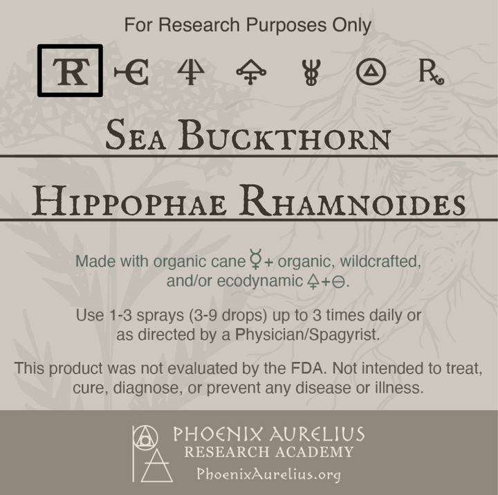 Sea-Buckthorn-Spagyric-Tincture-aurelian-spagyria