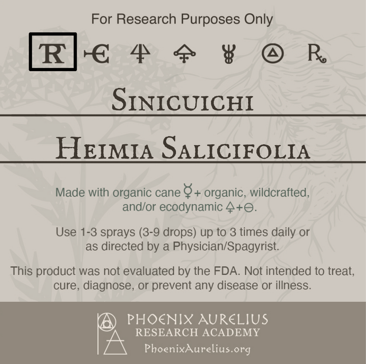 Sinicuichi-Spagyric-Tincture-aurelian-spagyria