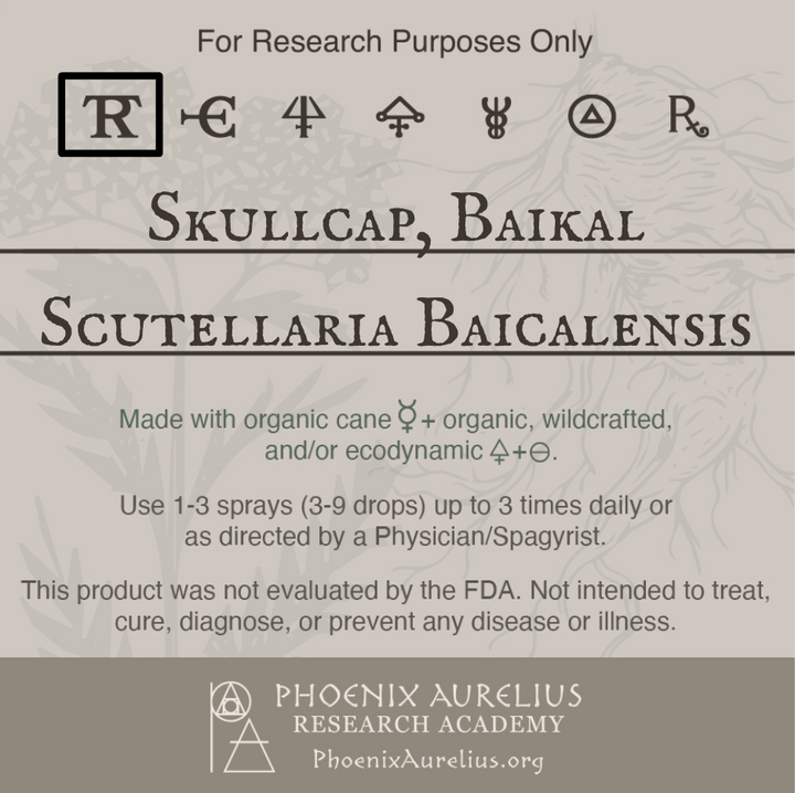 Skullcap-Baikal-Spagyric-Tincture-aurelian-spagyria