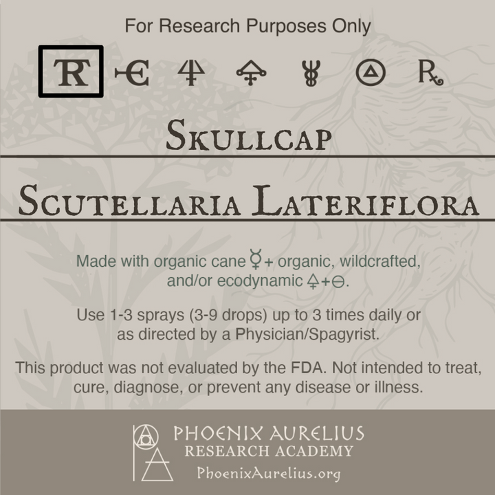 Skullcap-Spagyric-Tincture-aurelian-spagyria