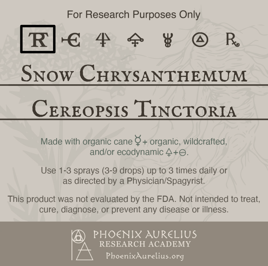 Snow-Chrysanthemum-Spagyric-Tincture-aurelian-spagyria