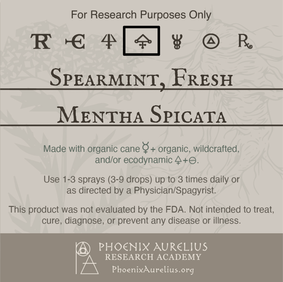 Spearmint-Fresh-Philosophic-Spagyric-Essence-aurelian-spagyria
