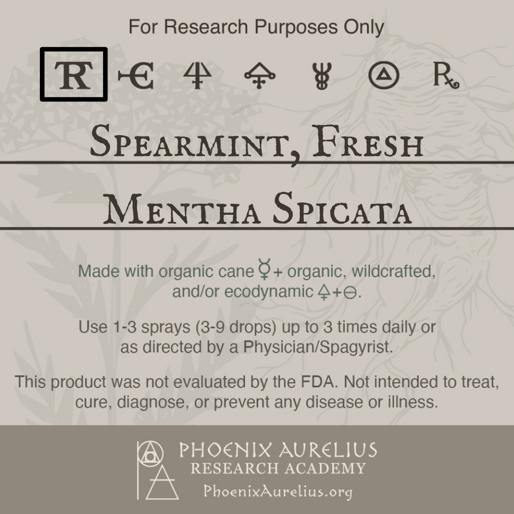 Spearmint-Fresh-Spagyric-Tincture-aurelian-spagyria