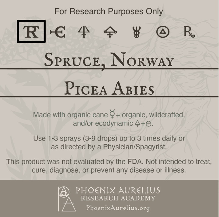 Spruce-Norway-Spagyric-Tincture-aurelian-spagyria