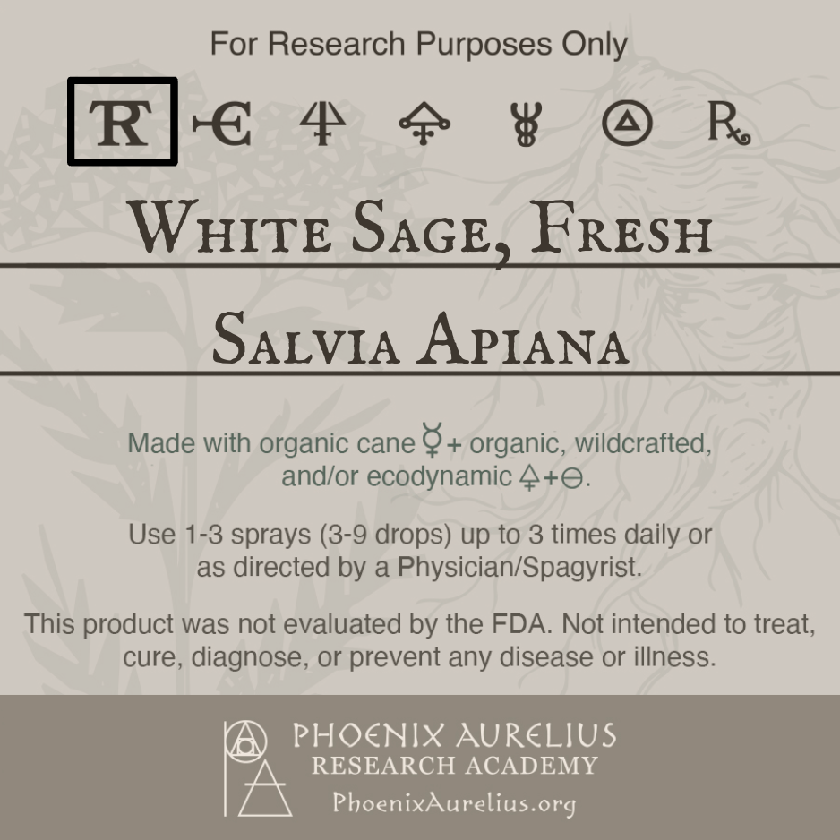 White-Sage-Fresh-Spagyric-Tincture-aurelian-spagyria