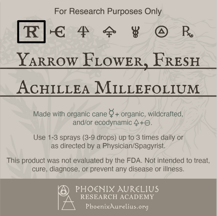 Yarrow-Flower-Fresh-Spagyric-Tincture-aurelian-spagyria