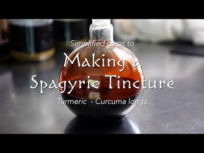 Making Aurelian Spagyric Tinctures and Elixirs - Immersion Study