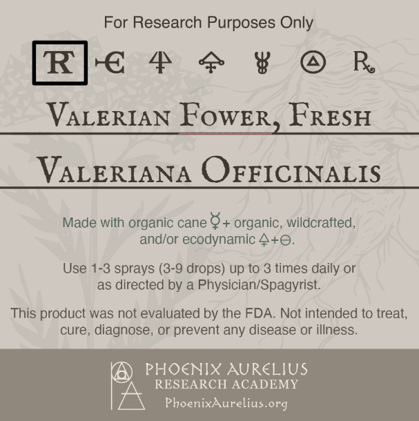 Valerian Flower, Fresh, Spagyric Tincture