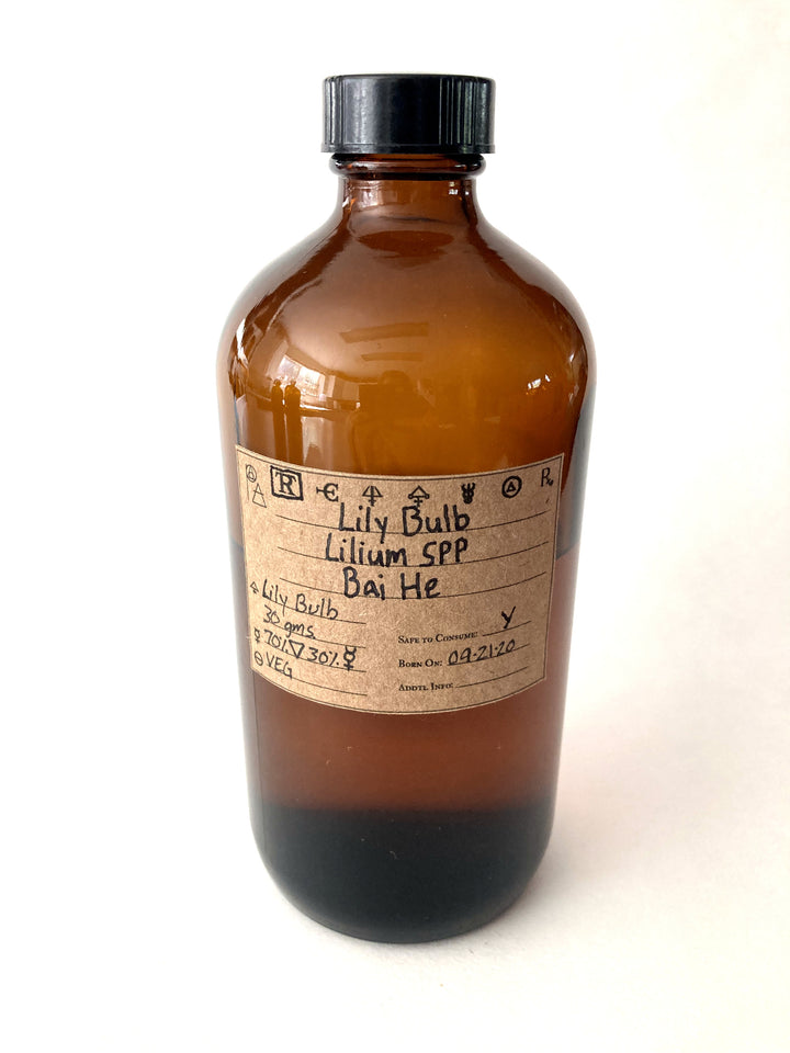 Lily Bulb Hydroethanolic Spagyric Tincture - Phoenix Aurelius Research Academy